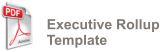 Executive Rollup Template